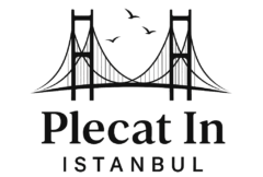 Plecat in Istanbul